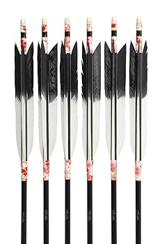 Amazon | 山武弓具店 矢 弓道 ターキー KF-1 1913シャフト 6本組